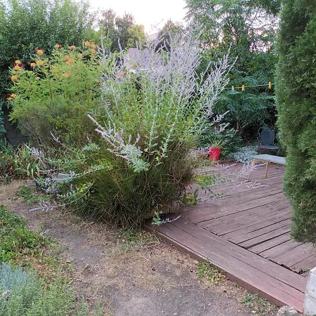 The - With Garden Affittacamere