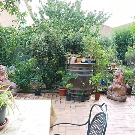 The - With Garden Ferrals-lès-Corbières